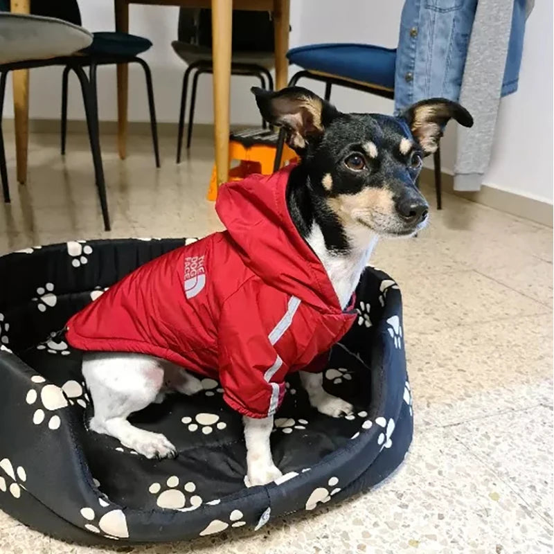 Chaqueta Térmica e Impermeable para Perros pequeños - Reflectante y Térmica con Interior de Fleece